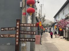 -康陵正德春饼宴26号
