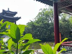 -珠海圆明新园