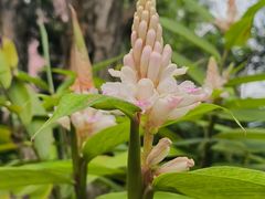 -广州神农草堂中医药博物馆