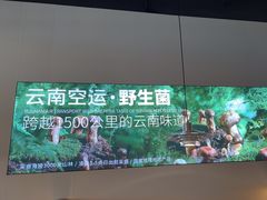 -野·大山里土鸡火锅(万科里店)