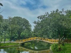 -晓港公园