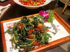 -金龙寨(解西店)