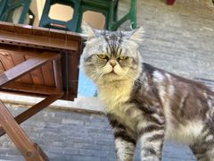-赵尔巽公馆-旧址