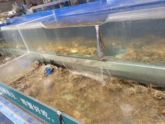 水产区-圣罗巴海鲜自助(黑金店)
