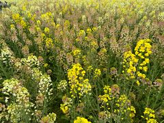 -中国天府农业博览园