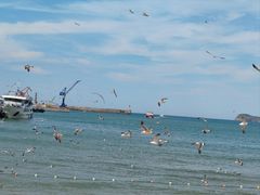 -海驴岛(荣成市)