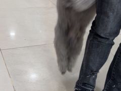 -佳雯宠物医院·皮肤科·内外科(春晓路分院)