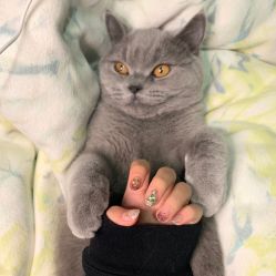 -Miss·A日式美甲美睫