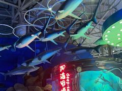 -烟台海昌鲸鲨海洋公园