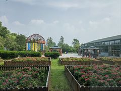 -太阳岛度假酒店