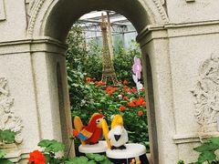 -南宫五洲植物乐园