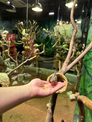 -Zoolung Zoolung动物主题公园(海信广场店)