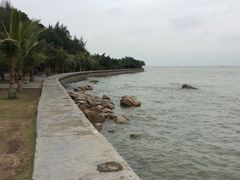 -野狸岛