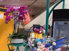 -BoBloom花店(晶耀前滩店)
