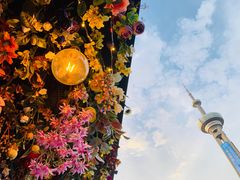 -成都娃娃花园餐厅 (南艺旗舰店)