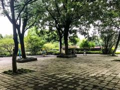 -宁波儿童公园(鄞州区)