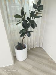 -HEYAN荷妍专业脱毛连锁机构
