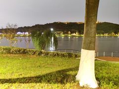 -羊山湖公园