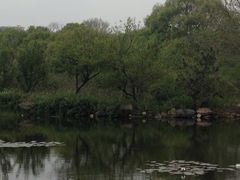 -白马涧龙池景区