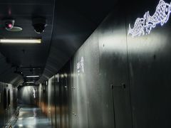 -白鹤梁水下博物馆