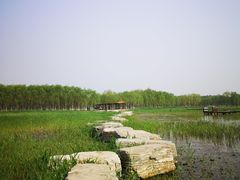 -西青郊野公园
