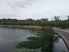 -新江湾城公园