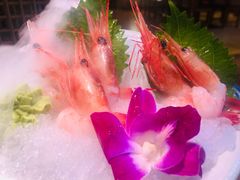 甜虾刺身-有喜屋·深夜食堂(北京西路店)