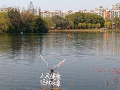 -新江湾城公园