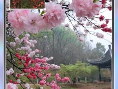 -南山风景名胜区