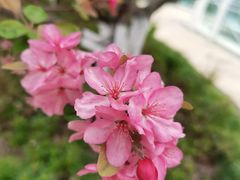 -杨记隆府重庆江湖菜(大悦城店)