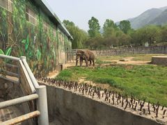 -西安秦岭野生动物园