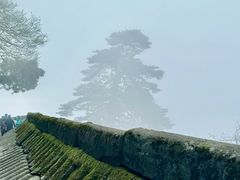 -武当山风景区