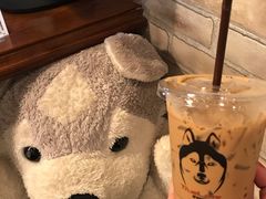 -TrueLove @ Neverland (Husky Cafe)