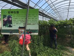 iphone_upload_pic-阿林有机农庄
