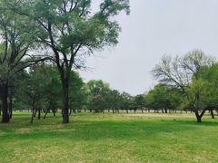 -承德避暑山庄景区