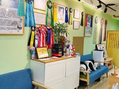 -猫十亿·布偶金渐层·曼基康矮脚猫舍(青年路店)