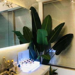 -FUMEIHUI·科技美肤·美体SPA