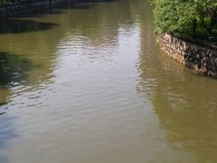 -晓港公园