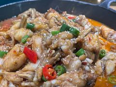 -蛙喔牛蛙(高新绿宝店)