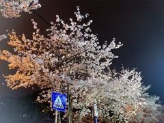 -永乐路-路侧停车场