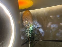 -施奈儿.洗头頭療.按摩SPA.采耳(上梅林店)
