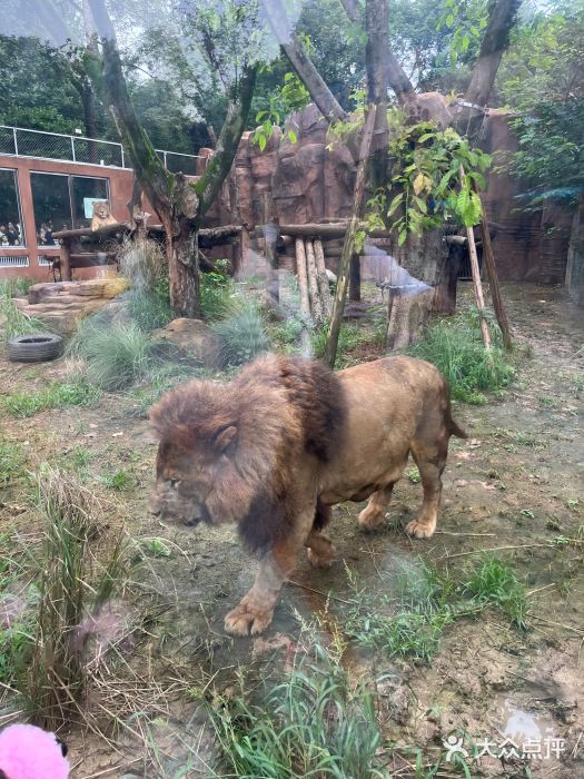 成都动物园图片