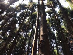 -山王坪喀斯特国家生态公园