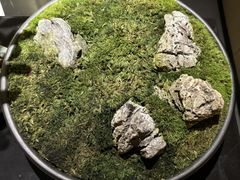 -耳湾躺式采耳SPA馆(保利五月花店)