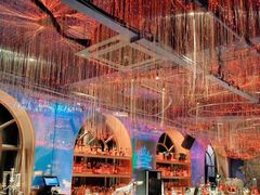 -Darling Queen·Mini·Live·House