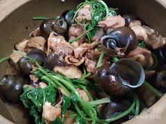 田螺鸡煲-食爺炭炉鸡煲·烧烤