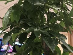 -德克士(宽甸店)