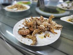 -七鲜渔港美食餐厅(巽寮湾海景店)