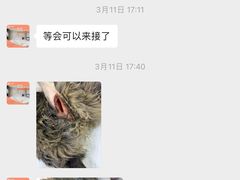 -关爱宠物医院·猫科中心·消化科(滨湖万达分院)