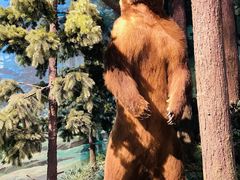 -陕西自然博物馆